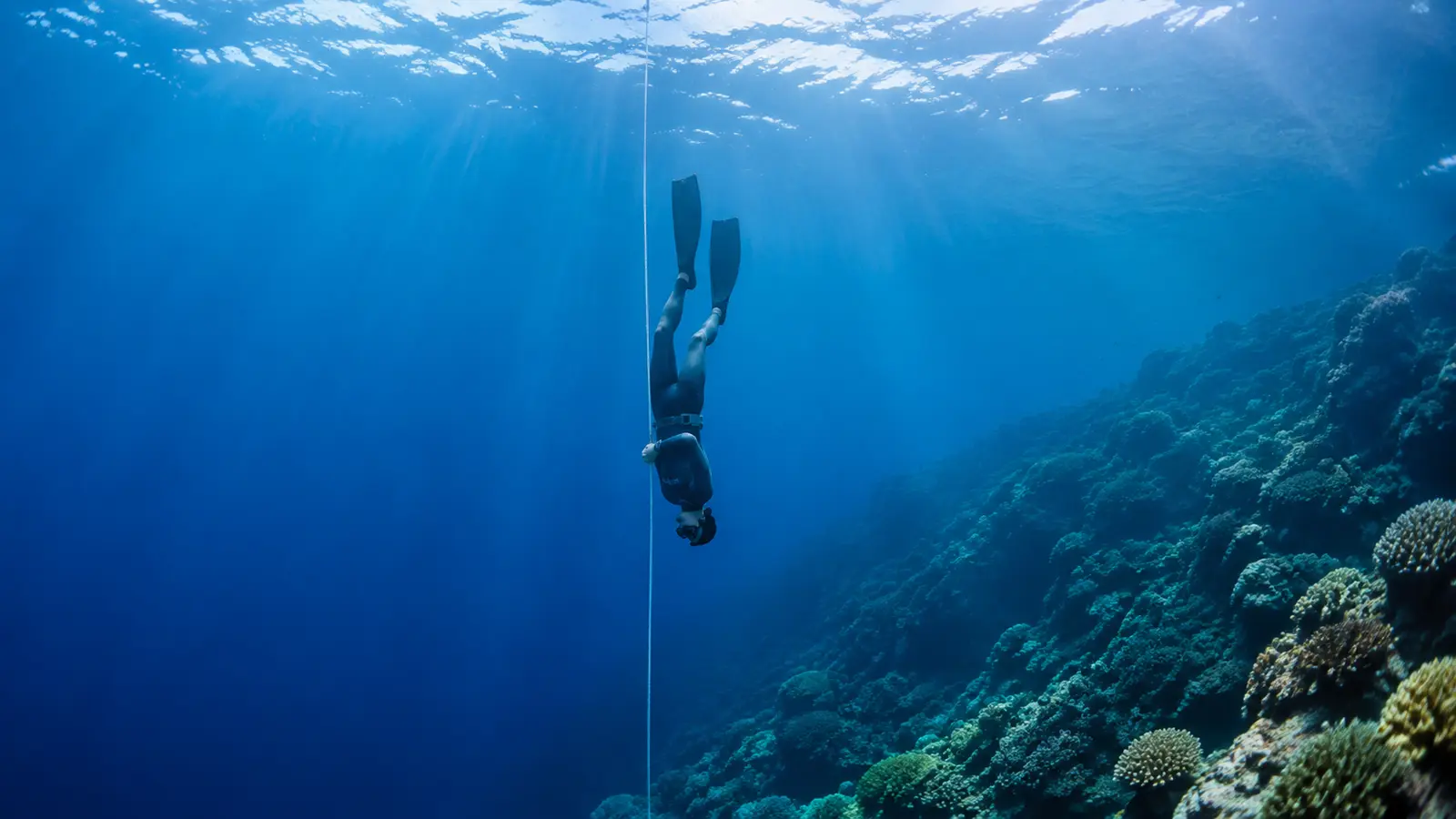 Freediver descending in the clear blue water of the Red Sea near Aqaba