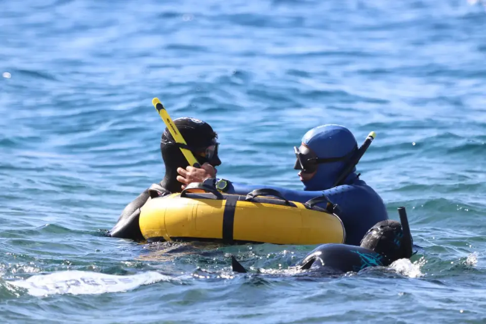 PADI Basic Freediver