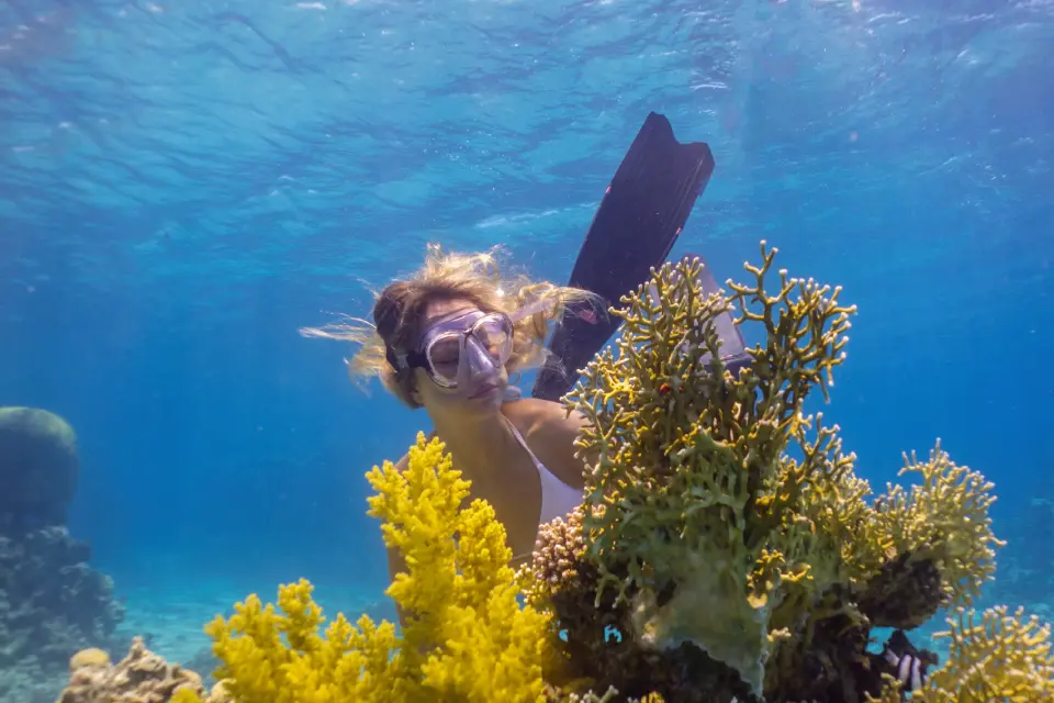 Discover Freediving
