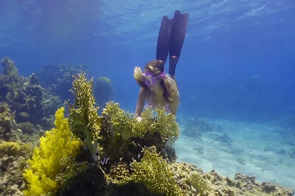 Fun Freediving in Aqaba